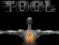 SALIVAL TOOL Box Set CD/DVD/BOOK